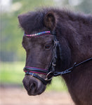 Shetland star bridle