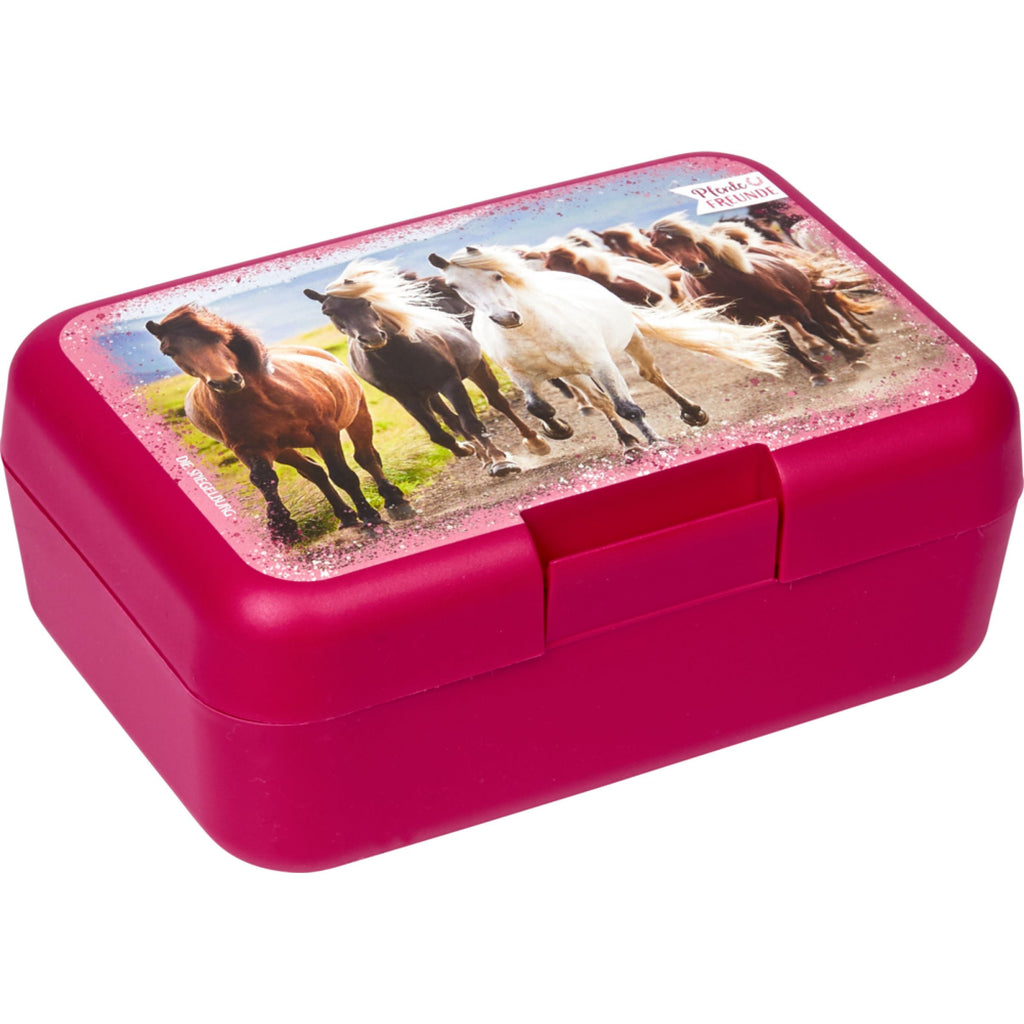 Horse lunch box – Stable Style 4 Kids @Galway Equestrian Centre